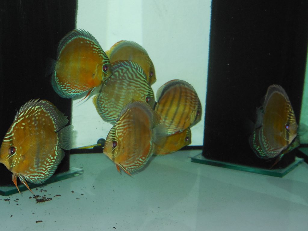 anlage vom 21.01 (16)